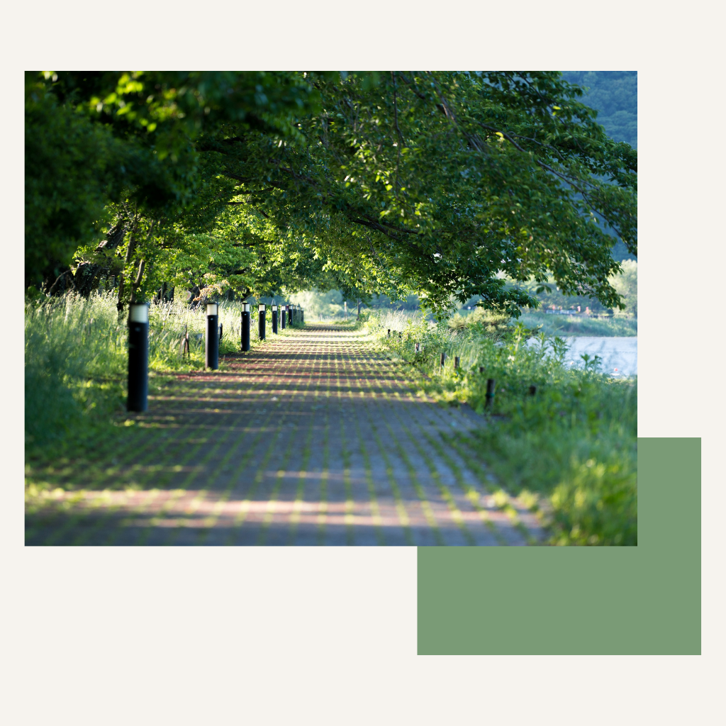 人生の正解はお伝えしません