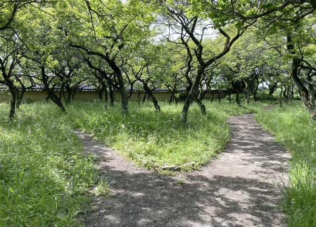 周りから見れば順調。それでも