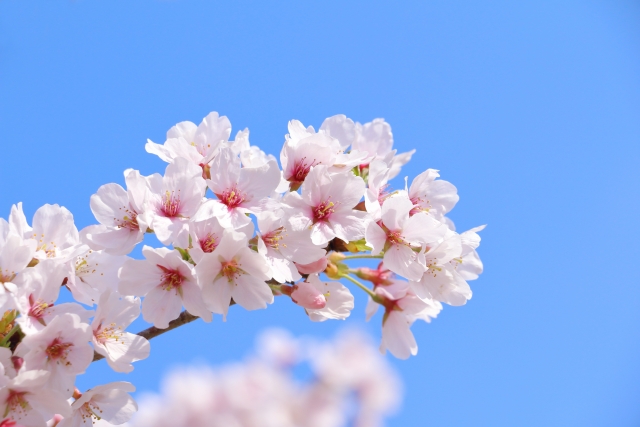 依存させない姿勢